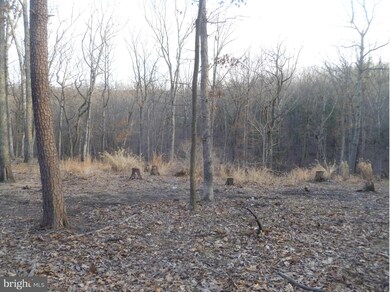 0 Kentucky Ln unit 1002815960, Berkeley Springs, WV 25411 - photo 4