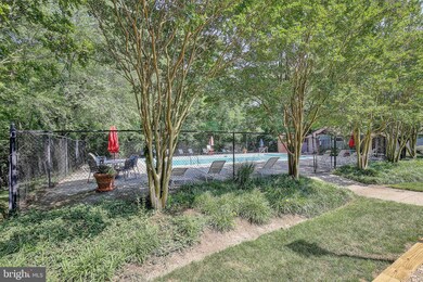 1130 Lake Heron Dr unit 3A, Annapolis, MD 21403 - photo 5