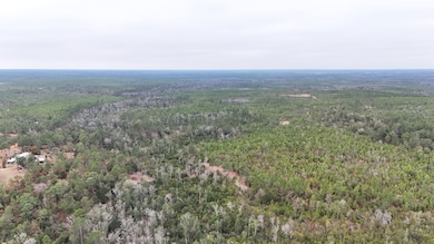 0 Joshua Rd, Marianna, FL 32448 - photo 3