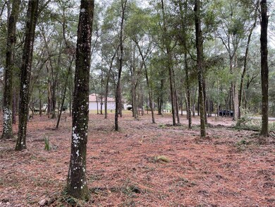 000 SW 188th Cir, Dunnellon, FL 34432 - photo 3