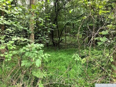 0 Sleepy Hollow Rd unit 122550, Coxsackie, NY 12051 - photo 4