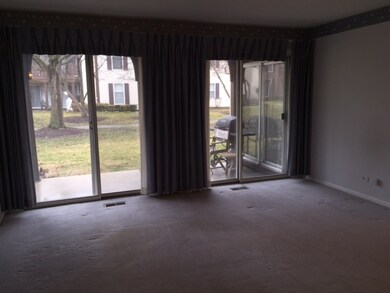 43 Glencoe Ct unit 101A, Naperville, IL 60565 - photo 4