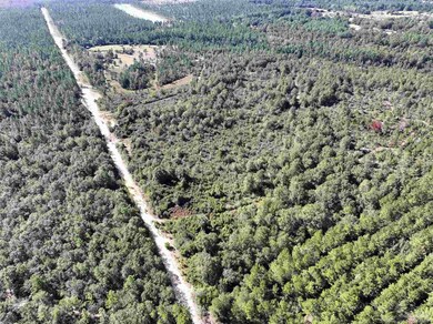 TBD Walther Rd unit TBD JACKPOT TRL, Milton, FL 32570 - photo 3