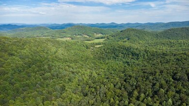 Tr 3 Glenn Elliot Rd, Dahlonega, GA 30533 - photo 7