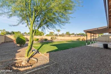 1046 E Carmen St, Tempe, AZ 85283 - photo 6