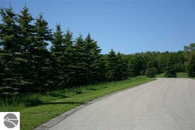 13506 S Bahia Vista Dr unit 17, Traverse City, MI 49684 - photo 6