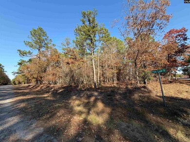 428 Pine Crest St, Camden, SC 29020 - photo 4