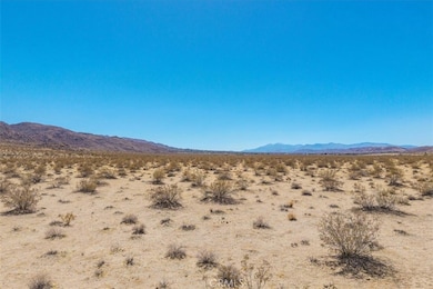 6224 Pelican Ave, Joshua Tree, CA 92252 - photo 5