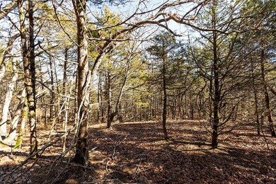 382 E Willoughby Rd, Fayetteville, AR 72701 - photo 6