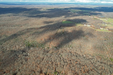 000 Hwy Pp, Collins, MO 64738 - photo 2
