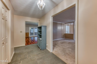 2204 Nave Dr, Johnson City, TN 37601 - photo 4