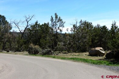 0 NE Ginters Grove Ln unit 703702, Cedaredge, CO 81413 - photo 2