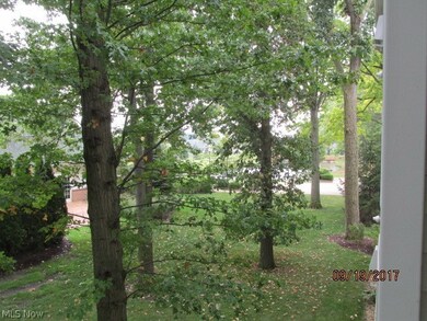 709 Aqua Marine Blvd unit 709, Avon Lake, OH 44012 - photo 5