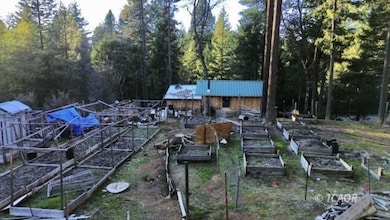 Garden area & cabin