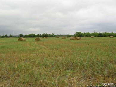 595 County Road 354, Hondo, TX 78861 - photo 2