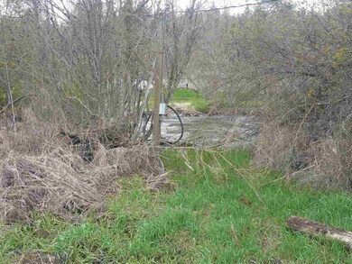 20428 N Little Spokane Dr, Colbert, WA 99005 - photo 3