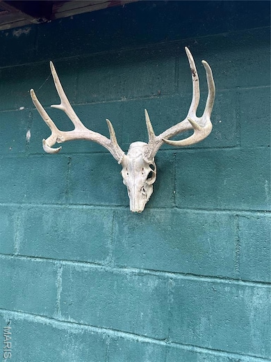 TDB Upper Janes Creek Raod, Ravenden, AR 72459 - photo 4