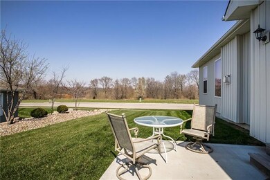 View of the woods across the street.