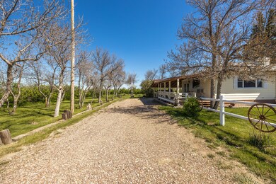 Driveway to Carport