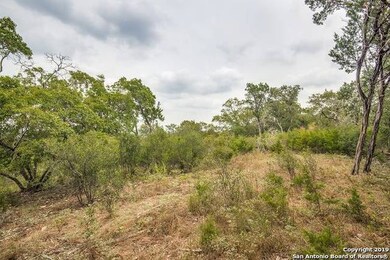 24380 Scenic Loop Rd, San Antonio, TX 78255 - photo 6