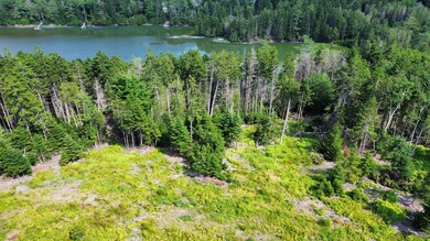 dji_fly_20240713_153958_883_172091594468