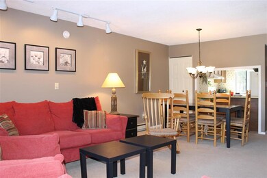 6 Windsor Hill Way unit 46, Waterville Valley, NH 03215 - photo 3