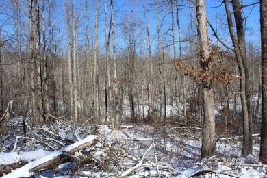 0 Mann Rd unit 2424445, Logan, OH 43138 - photo 2