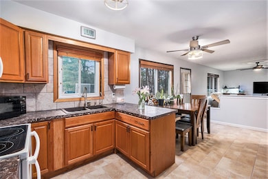 11680 Podunk Ave NE, Greenville, MI 48838 - photo 6