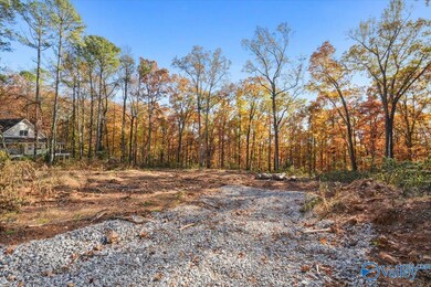 244 Brentwood Ln, Madison, AL 35758 - photo 7