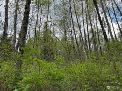 2800 Freestad Rd, Stanwood, WA 98292 - photo 5