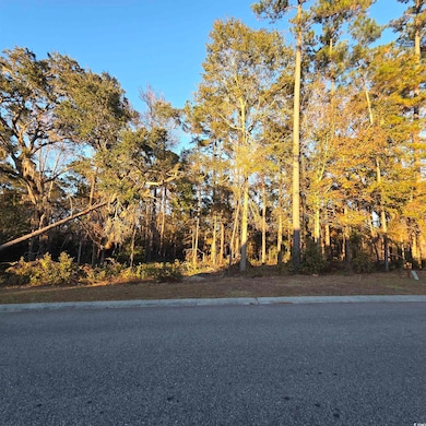 616 McCown Dr, Conway, SC 29526 - photo 7