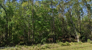 0 Quail Ranch Rd unit 1045380, New Smyrna Beach, FL 32168 - photo 2