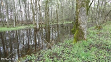 20.27ac Denton Rd, Moss, TN 38575 - photo 4