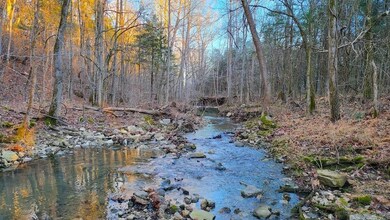 0 Punkin Flat Rd unit 25022106, Marshall, AR 72650 - photo 7