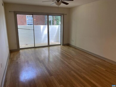 1521 Virginia Ave unit 1, Charlottesville, VA 22903 - photo 5