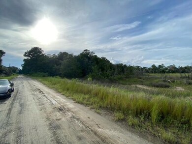 image2 (1)