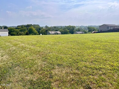 Lot Pic 2