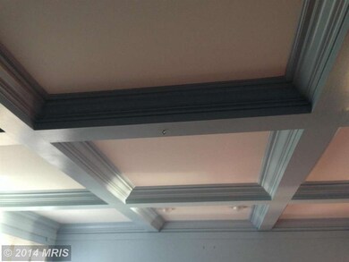 43047 Castlebar St, Chantilly, VA 20152 - photo 3