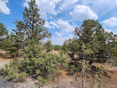 65432 78th St, Bend, OR 97703 - photo 3