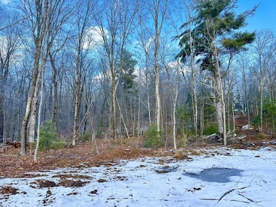 1 Burbank Rd, Sutton, MA 01590 - photo 2