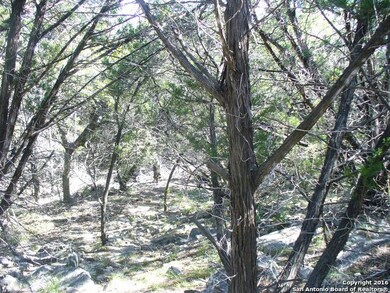 26026 Dull Knife Trail, San Antonio, TX 78255 - photo 7