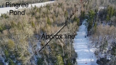 3997853_100DRONE_SING0200