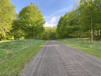 lakewood trail roadway