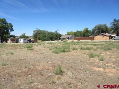 Lot 2 N Chestnut St, Cortez, CO 81321 - photo 6