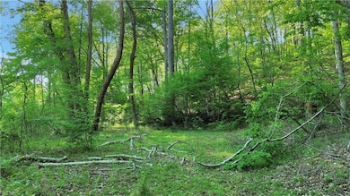 View of nature featuring a forest view