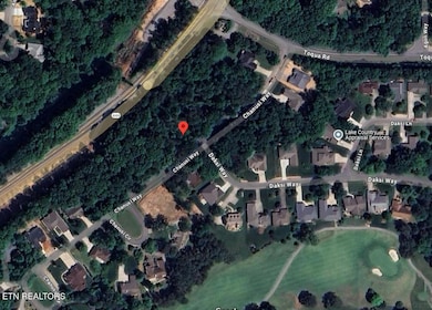 109 Chanusi Way - aerial view