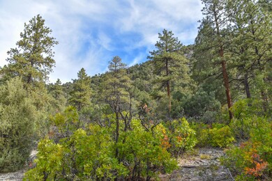 0 County Road 7a, Ridgway, CO 81432 - photo 5