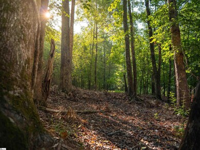 00 Goldmine Rd, Pacolet, SC 29372 - photo 4