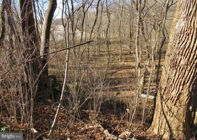 0 Palmyra Church Rd unit VASH120458, Edinburg, VA 22824 - photo 7