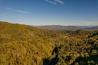 701 Treehouse Rd, Whittier, NC 28789 - photo 6